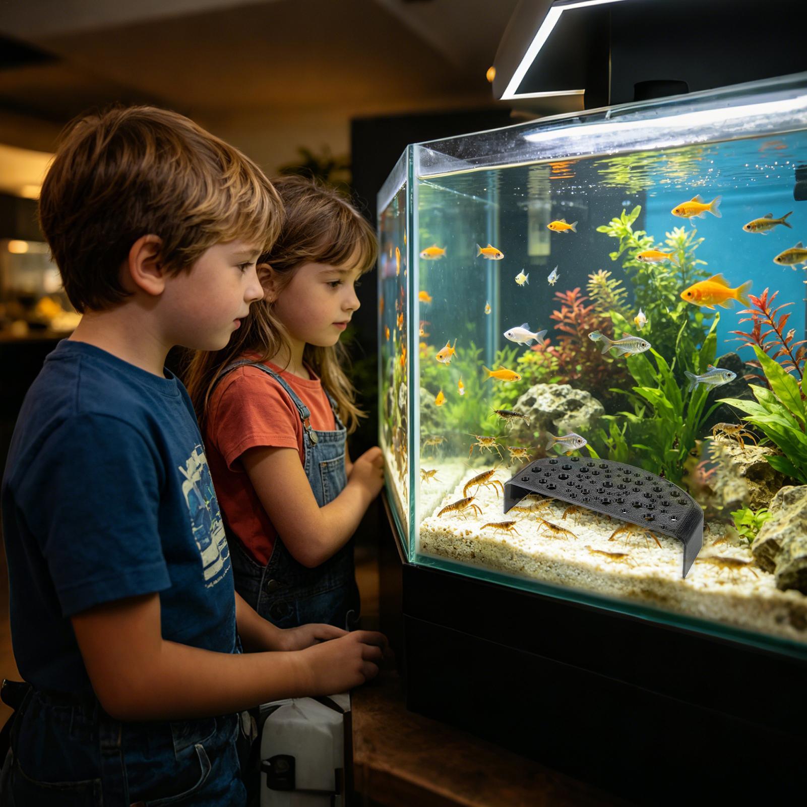 Aquatic Pet Rest Ornament Mult - огляд і ціна Aquarium Fish Zone