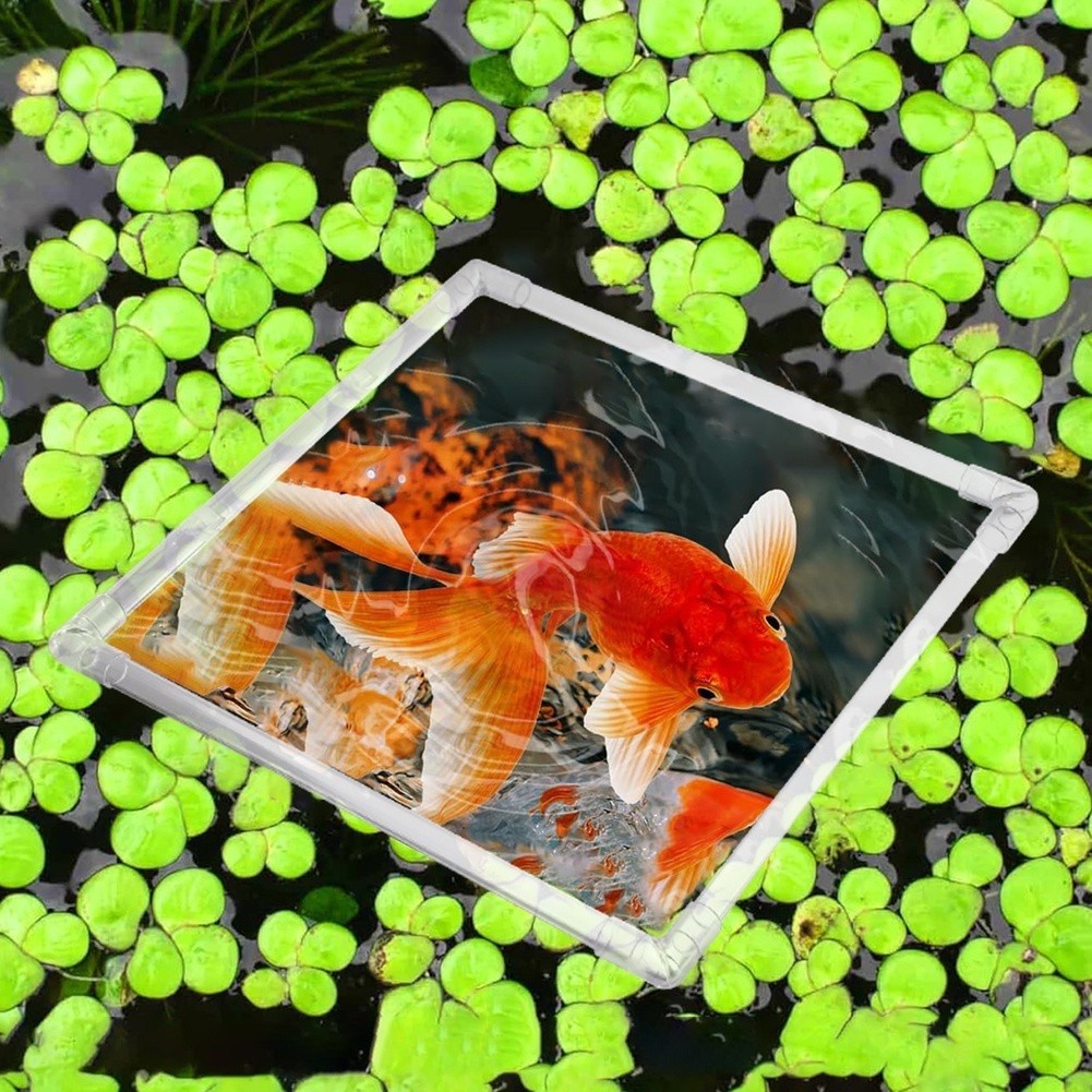 Aquarium Floating Plant Corral - огляд і ціна Aquarium Fish Zone