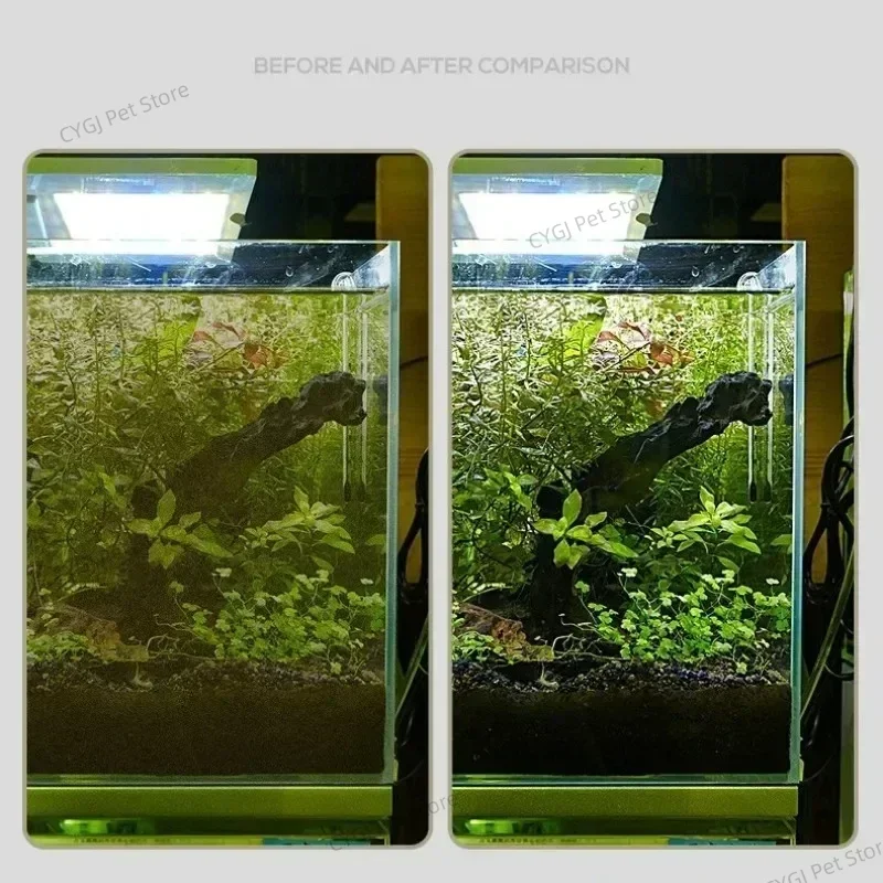 Fish Tank Cleaning Tool Flat S - огляд і ціна Aquarium Fish Waste Collector