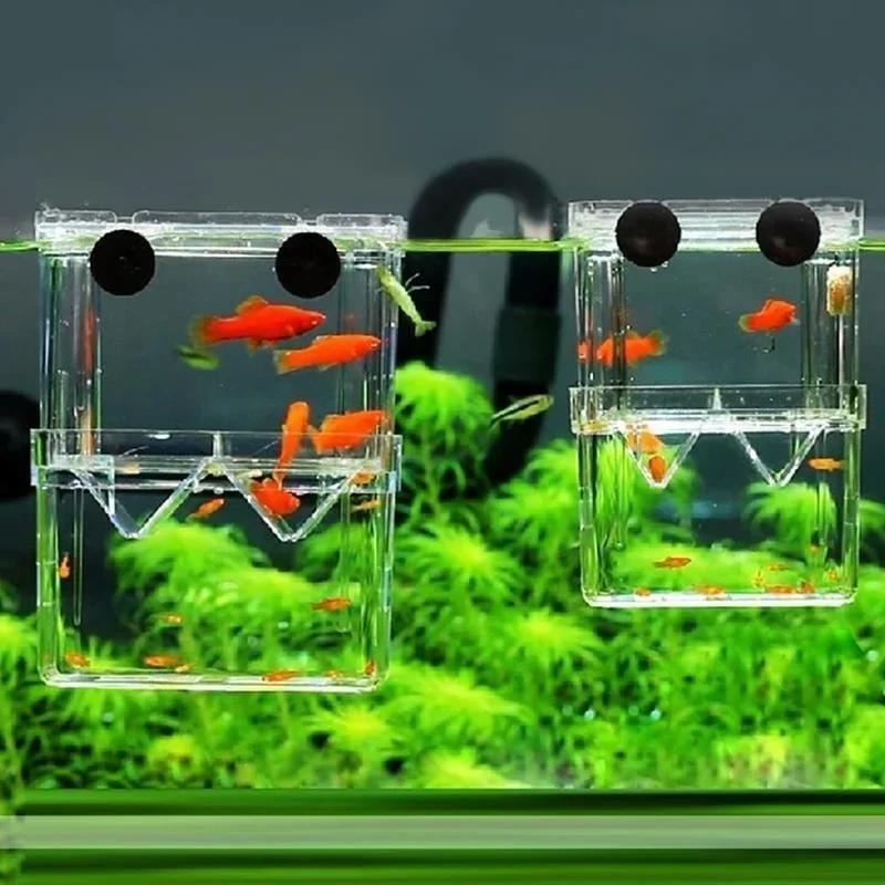 Transparent Fish Aquarium High - огляд і ціна Aquarium Fish Cave