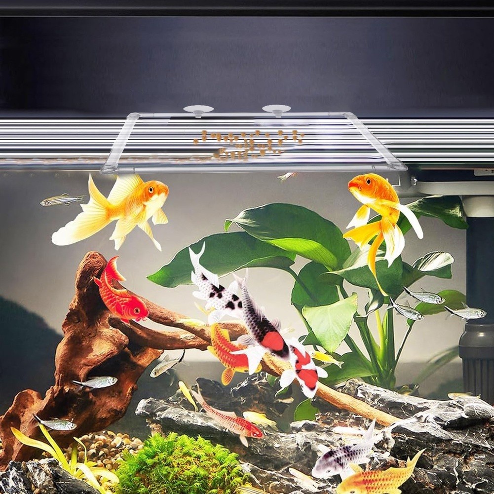 Aquarium Floating Plant Corral - огляд і ціна Aquarium Fish Zone