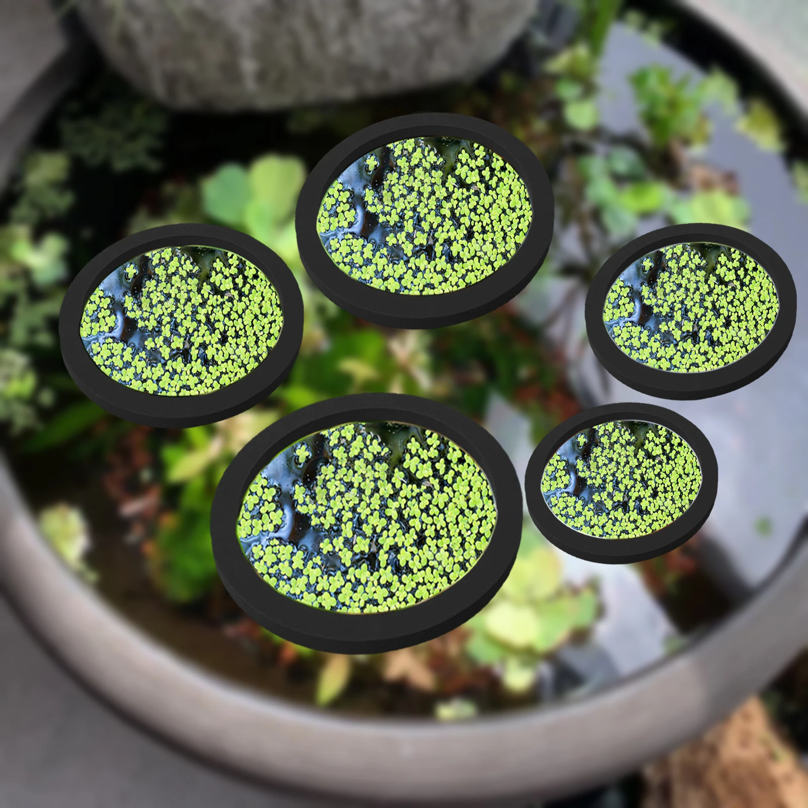5Pcs EVA Fish Feeding Ring Aqu - огляд і ціна Aquarium Fish Accessories