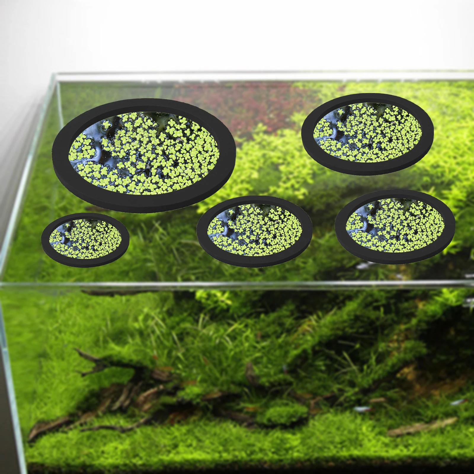 5Pcs EVA Fish Feeding Ring Aqu - огляд і ціна Aquarium Fish Accessories