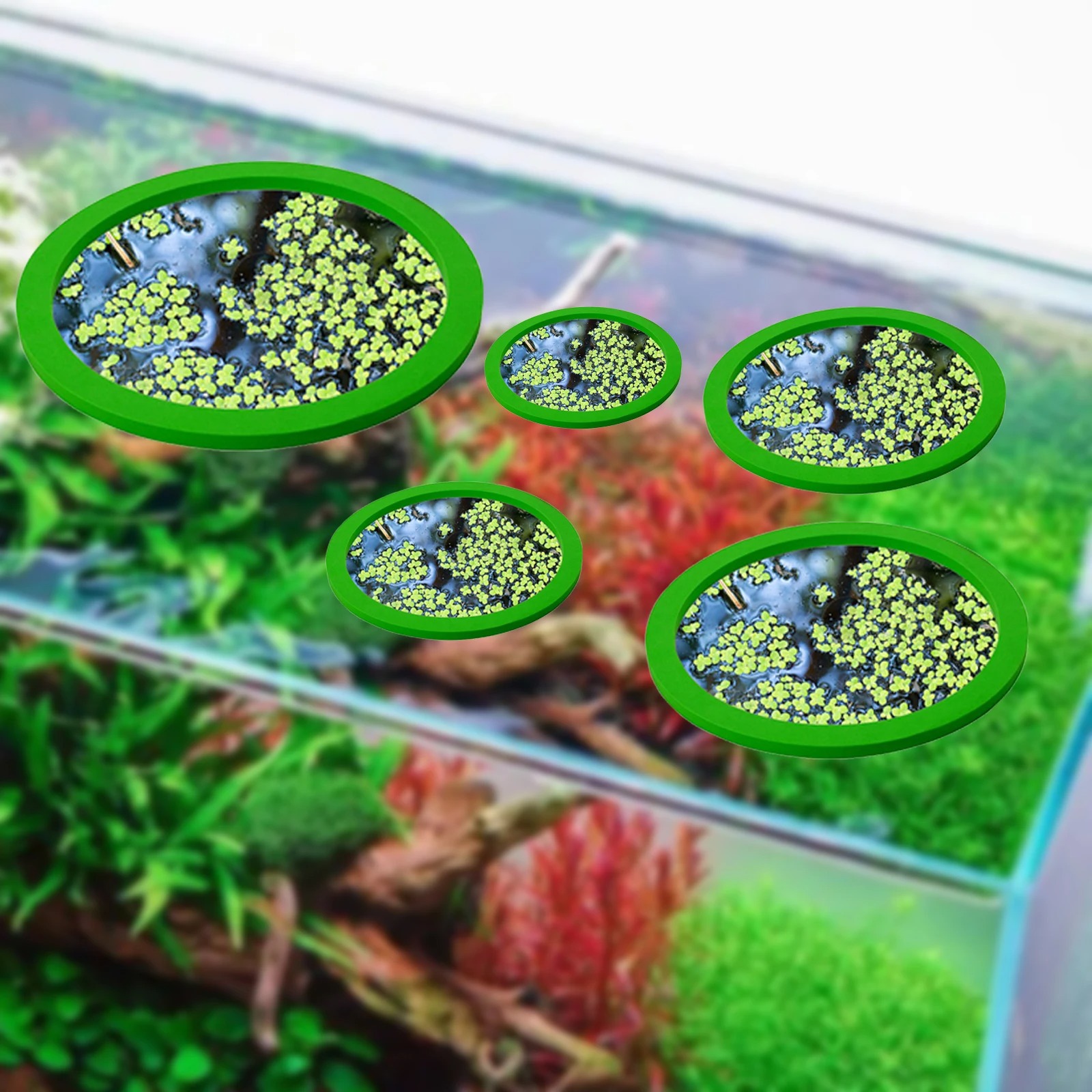 5Pcs EVA Fish Feeding Ring Aqu - огляд і ціна Aquarium Fish Accessories