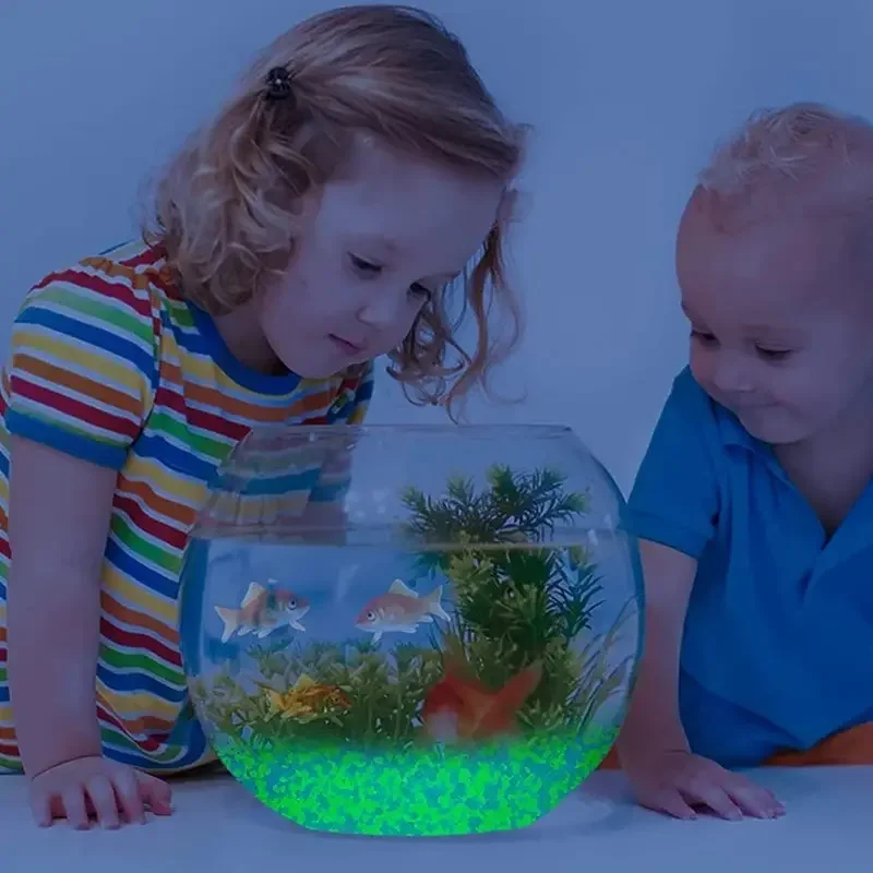 1000pcs 3-5mm Luminous Sand Gl - огляд і ціна Fish Aquarium Home