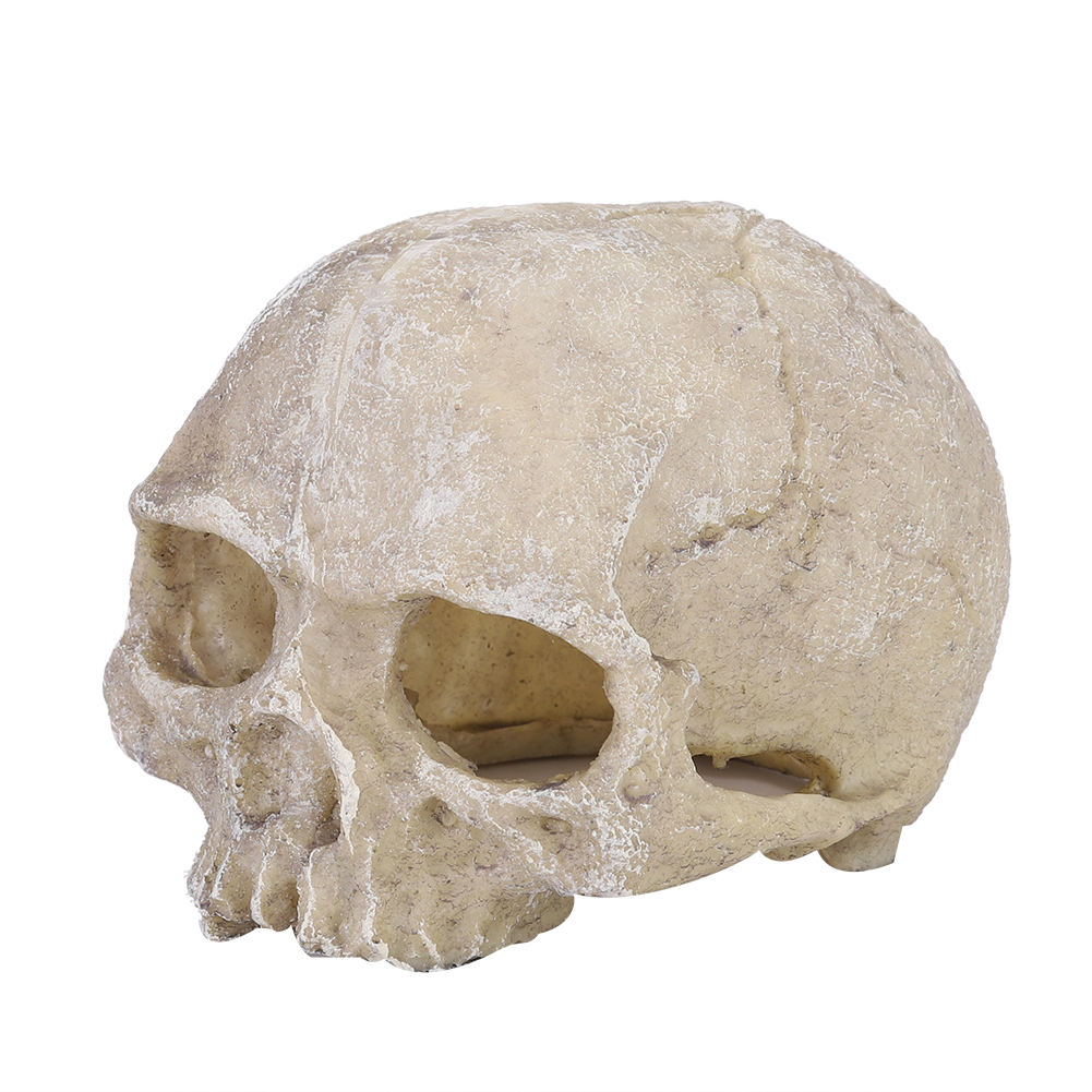 Resin Simulated Head Bone Skul - огляд і ціна Aquarium Fish Cave