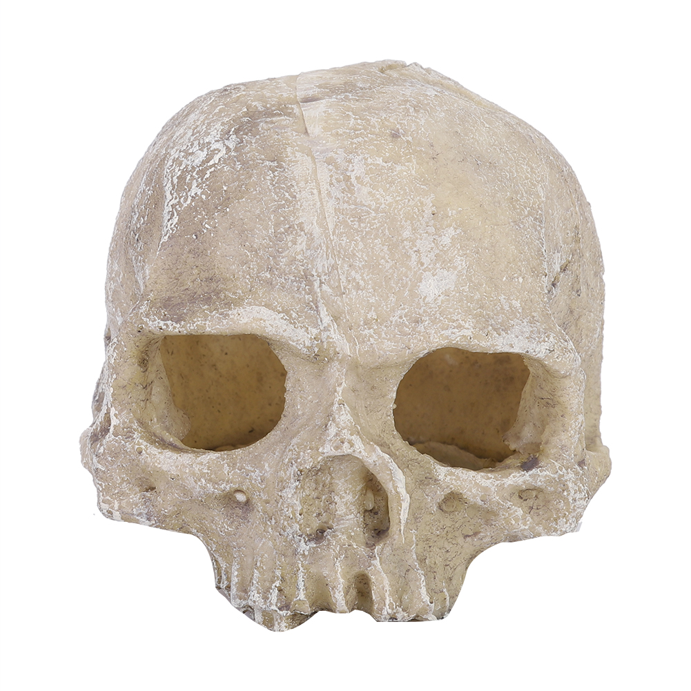 Resin Simulated Head Bone Skul - огляд і ціна Aquarium Fish Cave
