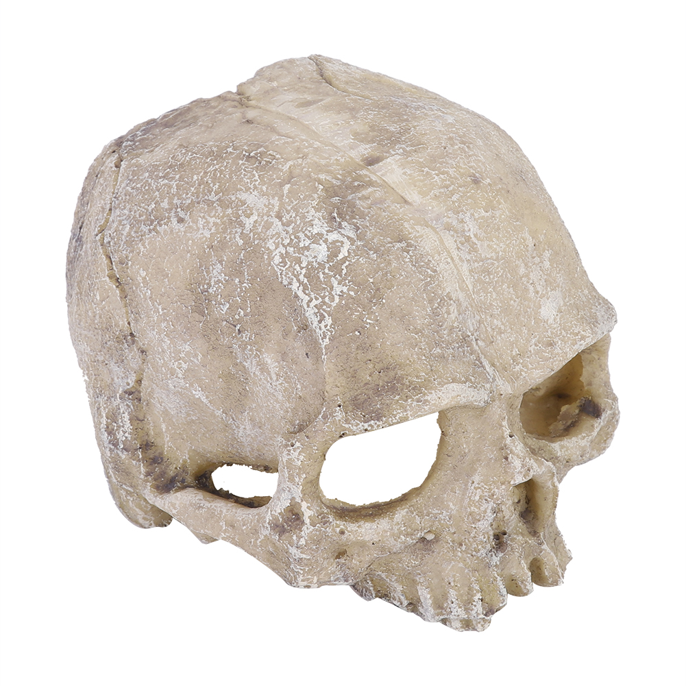 Resin Simulated Head Bone Skul - огляд і ціна Aquarium Fish Cave
