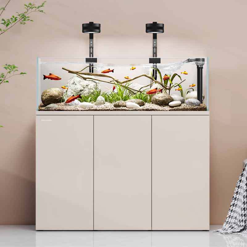 Minjiang stream tank landscapi - огляд і ціна Aquarium Fish Live