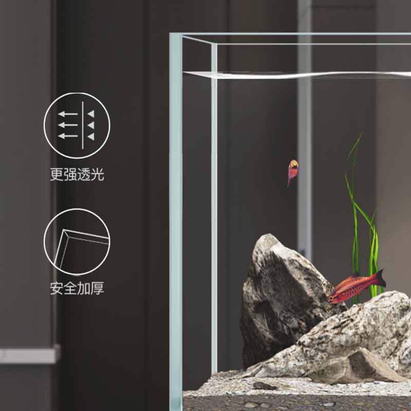 Minjiang stream tank landscapi - огляд і ціна Aquarium Fish Live