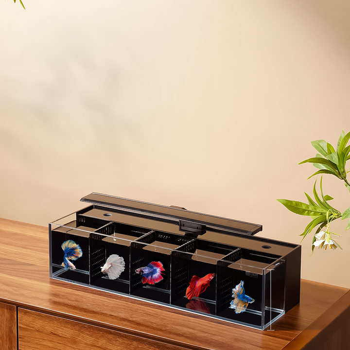 Modular Self-Cleaning Glass Fi - огляд і ціна Aquarium Fish Zone