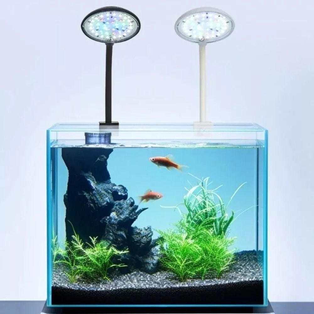 New Mini Fish Tank Clip Lamp 5 - огляд і ціна Aquarium Fish Live