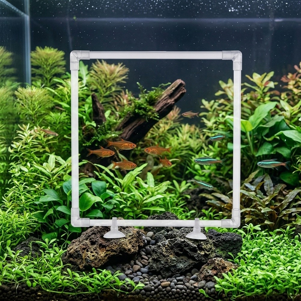 Aquarium Floating Plant Corral - огляд і ціна Aquarium Fish Zone