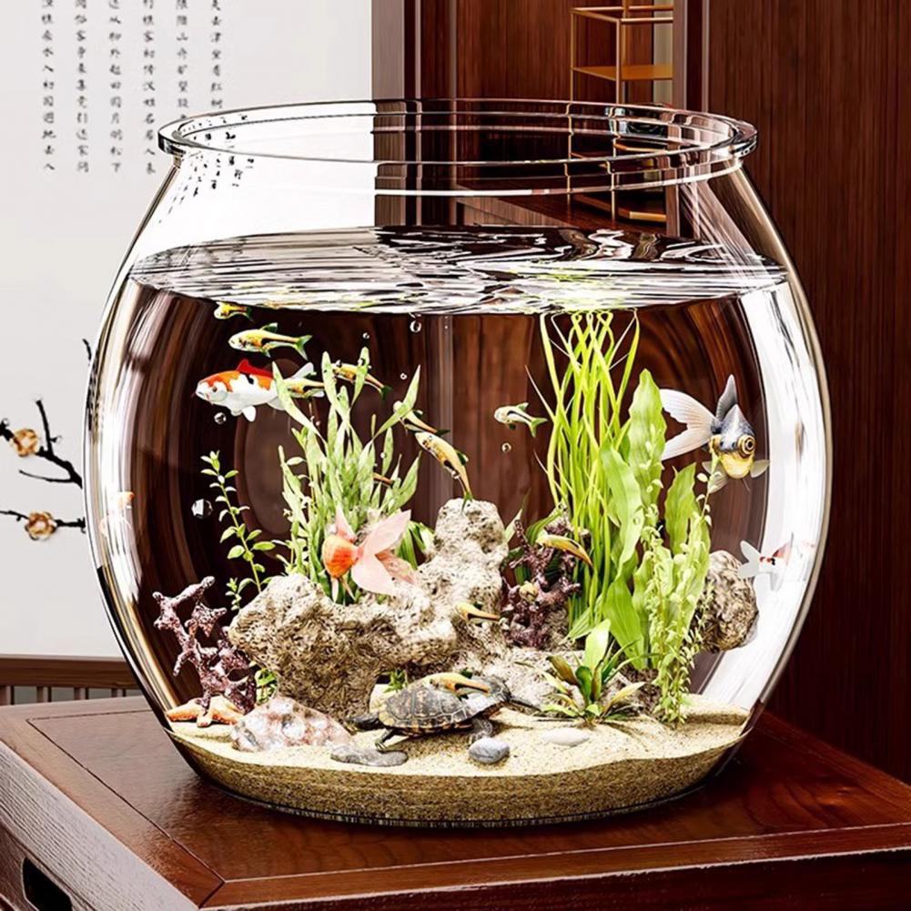 Clear Plastic round Fish Bowl  - огляд і ціна Aquarium Fish Live