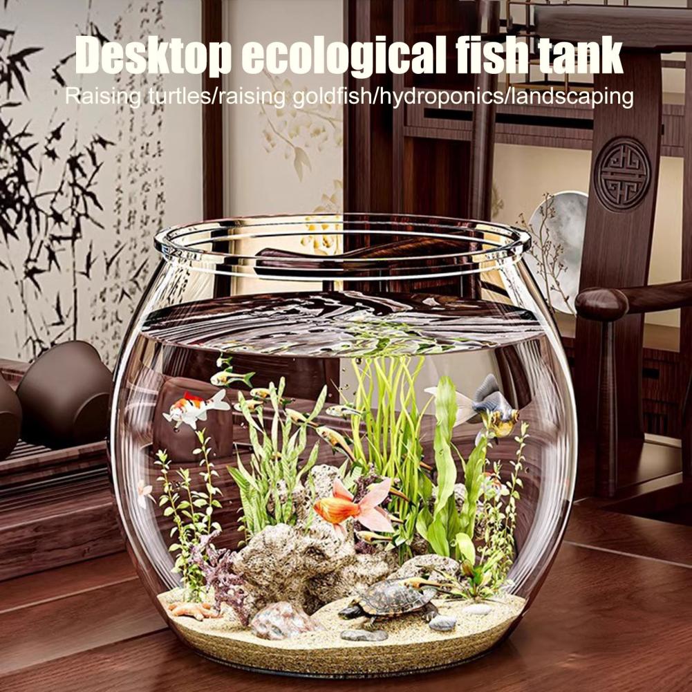 Clear Plastic round Fish Bowl  - огляд і ціна Aquarium Fish Live