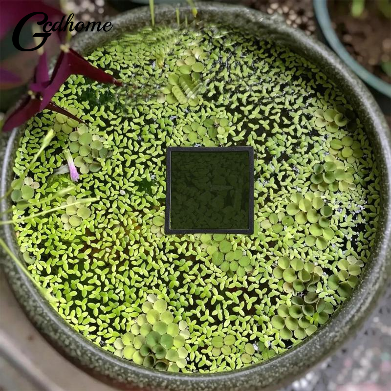 Aquarium Floating Plant Rings  - огляд і ціна Aquarium Fish Zone