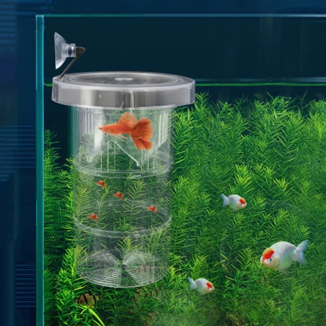 Acrylic Floating Fish Breeding - огляд і ціна Aquarium Fish Cave