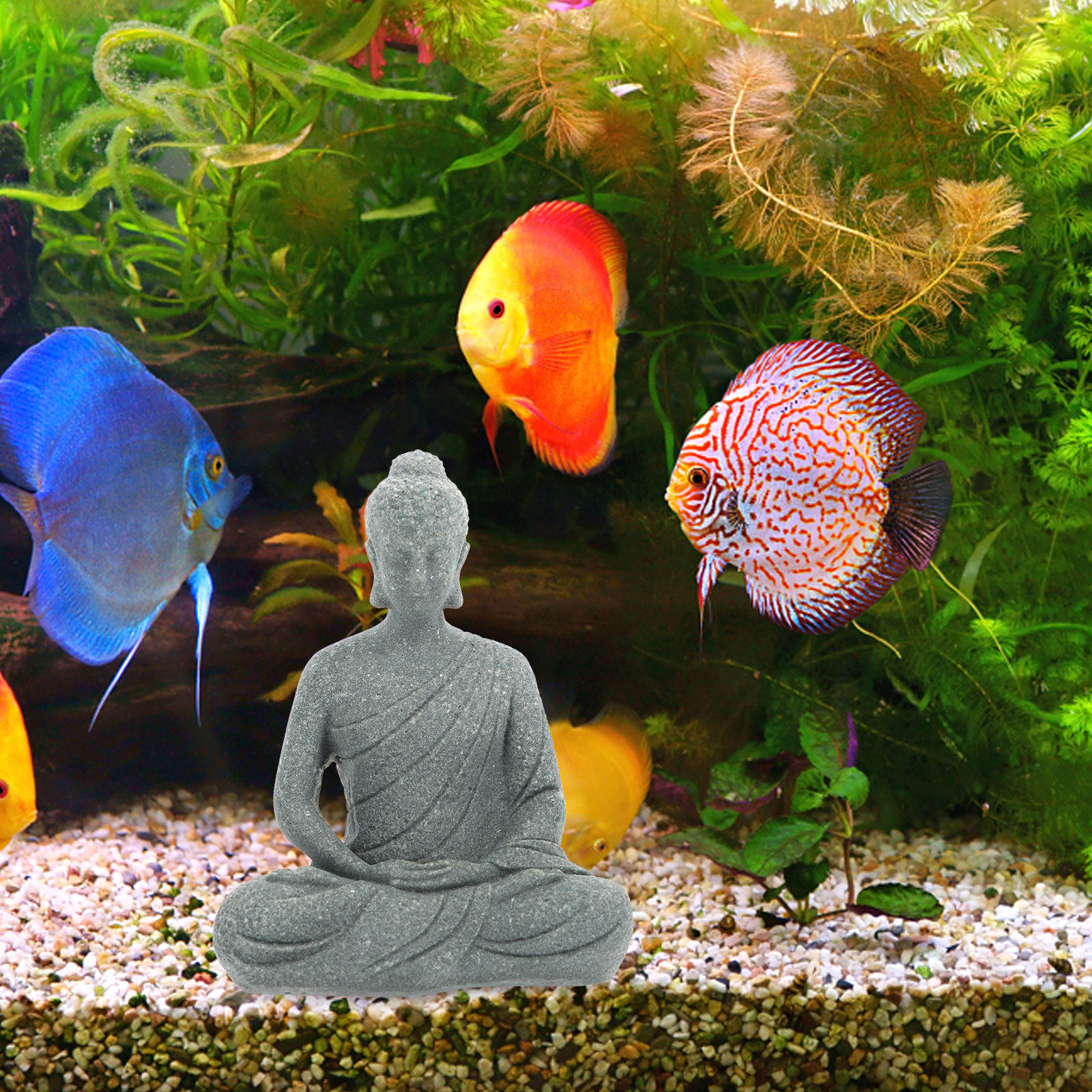 Compact Resin Buddha Statue fo - огляд і ціна Fish Aquarium Home